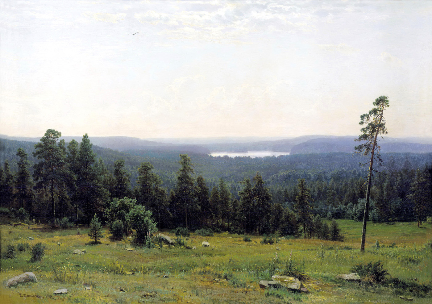 forest distance